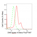 KD-Validated LIG4 Rabbit mAb (20 μl)