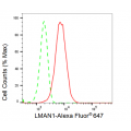 KD-Validated LMAN1 Rabbit mAb (20 μl)