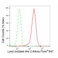 KD-Validated LOXL2 Rabbit mAb (20 μl)