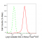 KD-Validated LOXL2 Rabbit mAb (20 μl)