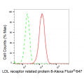 KD-Validated LRP8 Rabbit mAb (20 μl)