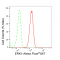 KD-Validated ERK1 Rabbit mAb (20 μl)