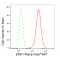 KD-Validated ERK1 Rabbit mAb (20 μl)