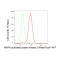 KD-Validated MAPKAPK2 Rabbit mAb (20 μl)