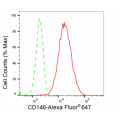 KD-Validated CD146 Rabbit mAb (20 μl)