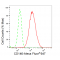 KD-Validated CD146 Rabbit mAb (20 μl)