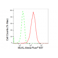 KD-Validated MLKL Rabbit mAb (20 μl)