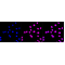 KD-Validated MLKL Rabbit mAb (20 μl)