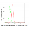 KD-Validated MMP14 Rabbit mAb (20 μl)