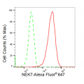 KD-Validated NEK7 Rabbit mAb (20 μl)