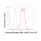 KD-Validated PGK1 Rabbit mAb (20 μl)