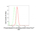KD-Validated PLAA Rabbit mAb (20 μl)