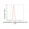 KD-Validated PLAA Rabbit mAb (20 μl)