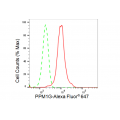KD-Validated PPM1G Rabbit mAb (20 μl)