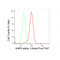 KD-Validated AMPKA1 Rabbit mAb (20 μl)