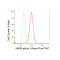 KD-Validated AMPKA1 Rabbit mAb (20 μl)