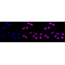 KD-Validated AMPKA1 Rabbit mAb (20 μl)