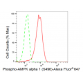 KD-Validated Phospho-AMPKA1 (S496) Rabbit mAb (20 μl)