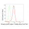 KD-Validated Phospho-AMPKA1 (S496) Rabbit mAb (20 μl)