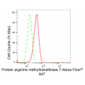 KD-Validated PRMT7 Rabbit mAb (20 μl)