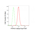 KD-Validated PTPN11 Rabbit mAb (20 μl)