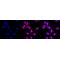 KD-Validated PVR Rabbit mAb (20 μl)