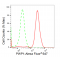 KD-Validated PWP1 Rabbit mAb (20 μl)