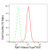 KD-Validated Raf1 Rabbit mAb (20 μl)