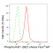 KD-Validated Phospho-Raf1 (S621) Rabbit mAb (20 μl)