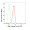 KD-Validated Raf1 Rabbit mAb (20 μl)