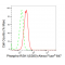 KD-Validated Phospho-RSK1 (S380) Rabbit mAb (20 μl)