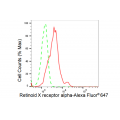 KD-Validated RXRA Rabbit mAb (20 μl)