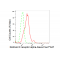KD-Validated RXRA Rabbit mAb (20 μl)