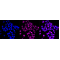 KD-Validated RXRA Rabbit mAb (20 μl)
