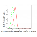 KD-Validated STIM1 Rabbit mAb (20 μl)