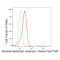 KD-Validated STIM1 Rabbit mAb (20 μl)