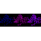 KD-Validated STIM1 Rabbit mAb (20 μl)