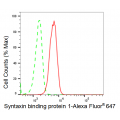 KD-Validated STXBP1 Rabbit mAb (20 μl)