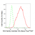 KD-Validated WNT5A Rabbit mAb (20 μl)