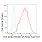 KD-Validated WNT5A Rabbit mAb (20 μl)