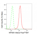 KD-Validated NFKB1 Rabbit mAb (20 μl)