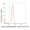 KD-Validated KAT7 Rabbit mAb (20 μl)