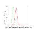 KD-Validated ACAA2 Rabbit mAb (20 μl)