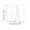KD-Validated AGL Rabbit mAb (20 μl)
