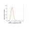 KD-Validated ARPC2 Rabbit mAb (20 μl)
