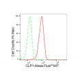 KD-Validated CLP1 Rabbit mAb (20 μl)
