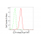 KD-Validated CLP1 Rabbit mAb (20 μl)