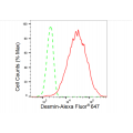 KD-Validated DES Rabbit mAb (20 μl)