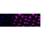 KD-Validated AKR1C1/2 Rabbit mAb (20 μl)