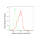 KD-Validated ARID1A Rabbit mAb (20 μl)